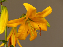 Foto: Dr. Peter Müller